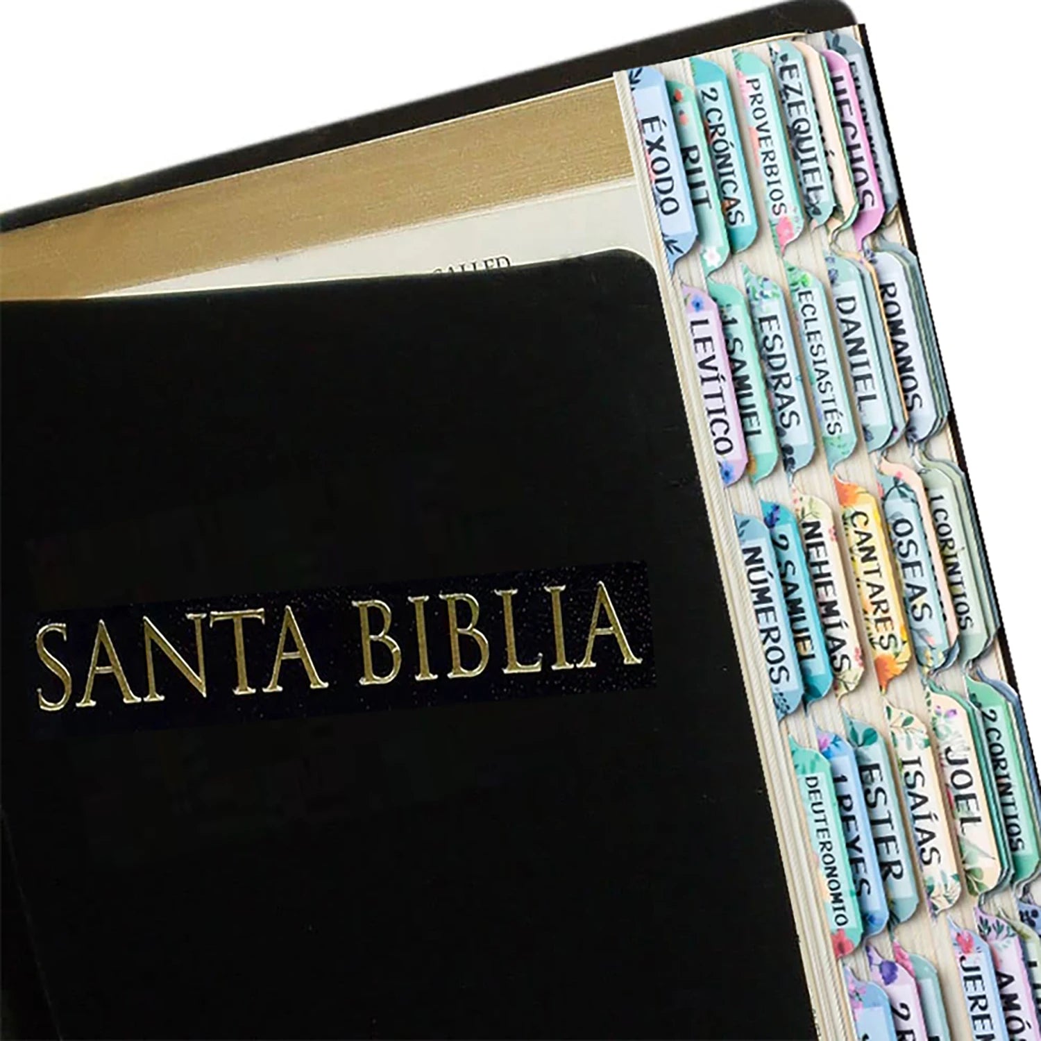 Imagen de Separadores de Biblia en español con diseño floral laminado